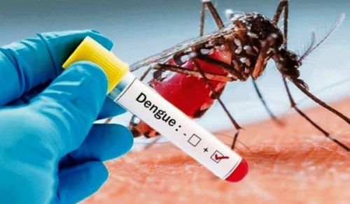 Dengue Fever Outbreak Takes a Toll on Our People in Al-Qadarif, and Government&#039;s Challenges in Combating the Epidemic