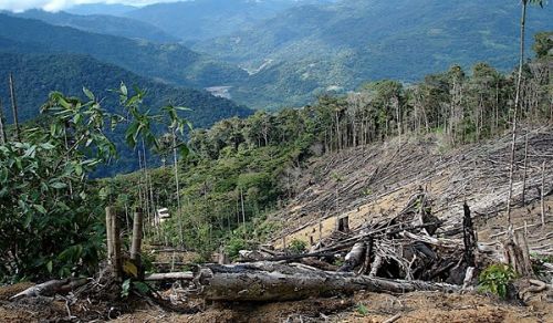 Mau Forest Crisis: Poor Management of Natural Resources by Capitalist- Secular Governments
