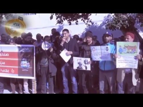 Tunus Vilayeti: IMF Delegelerinin Ziyaretine Karşı Parlamento Üyelerini Protesto