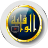 Waqiyah icon