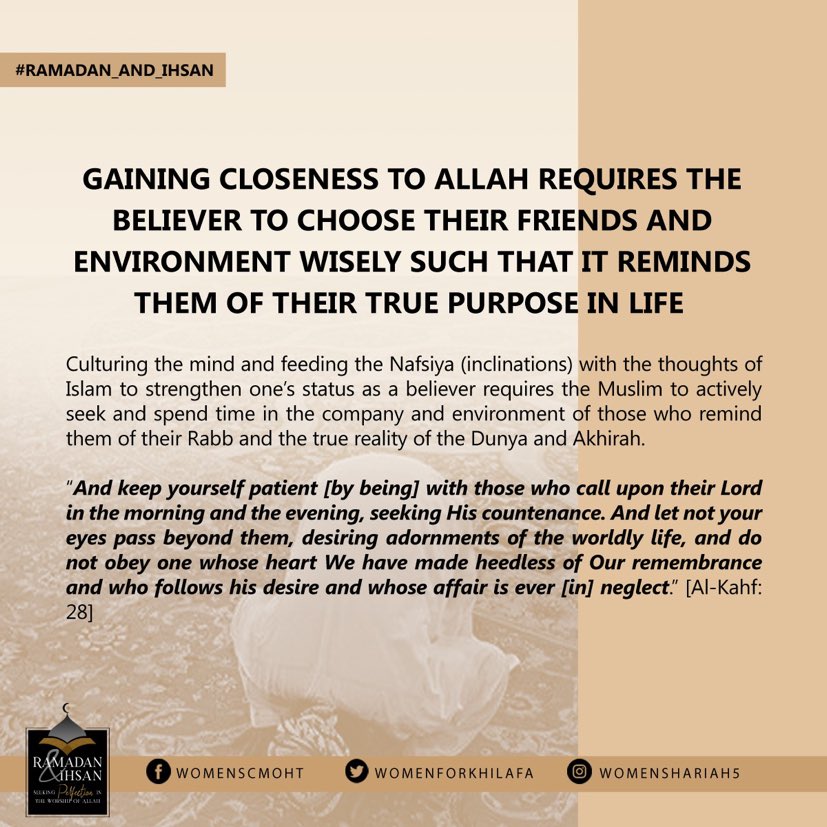 Click to enlarge image P11.jpg