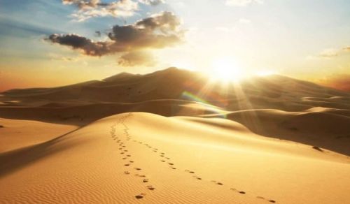 Rabi ul-Awwal’s Lessons for the Muslims in General, and their Military Officers in Particular