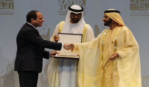 Q &amp; A: UAE’s Subordination and Positions on Some Hot Regional Issues