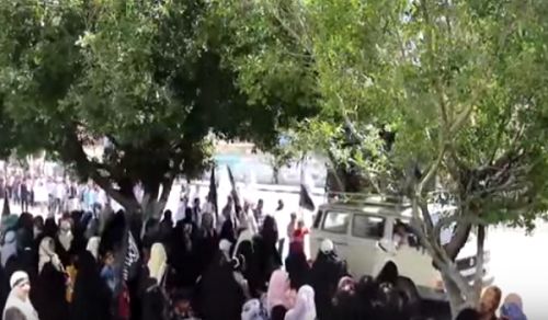 Palestine: Media Report regarding Rally in Gaza  on the 95th Anniversary of Destruction of Khilafah
