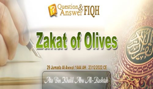 Ameer&#039;s Question and Answer: Zakat of Olives
