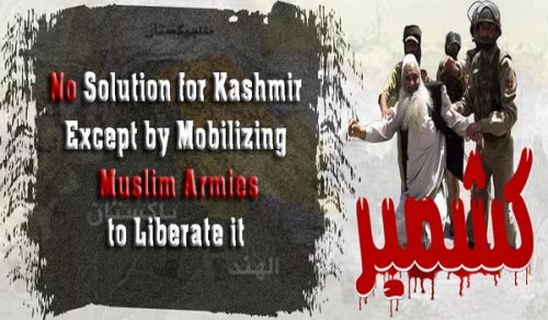 Central Media Office: Campaign, No Solution for Kashmir Except by Mobilizing Muslim Armies to Liberate it