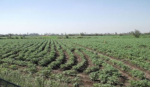 Ameer&#039;s Q &amp; A: The Difference between the Land Title (Raqabah) when it is for the State and when it is for the Individual
