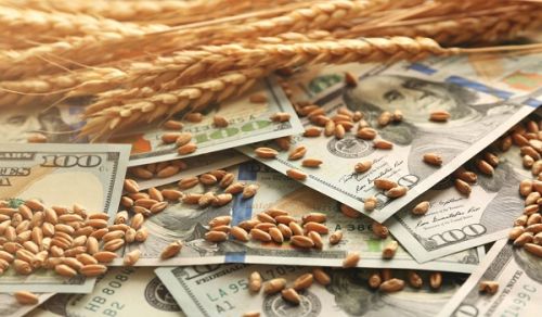 Inflation – A Perennial Problem in a Flawed Capitalist Economy