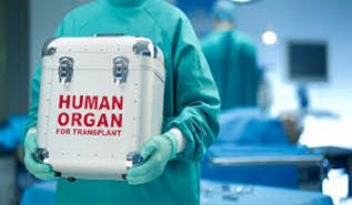 Der islamische Rechtsspruch zu: Organtransplantation, Sektion, Geschlechtermischung