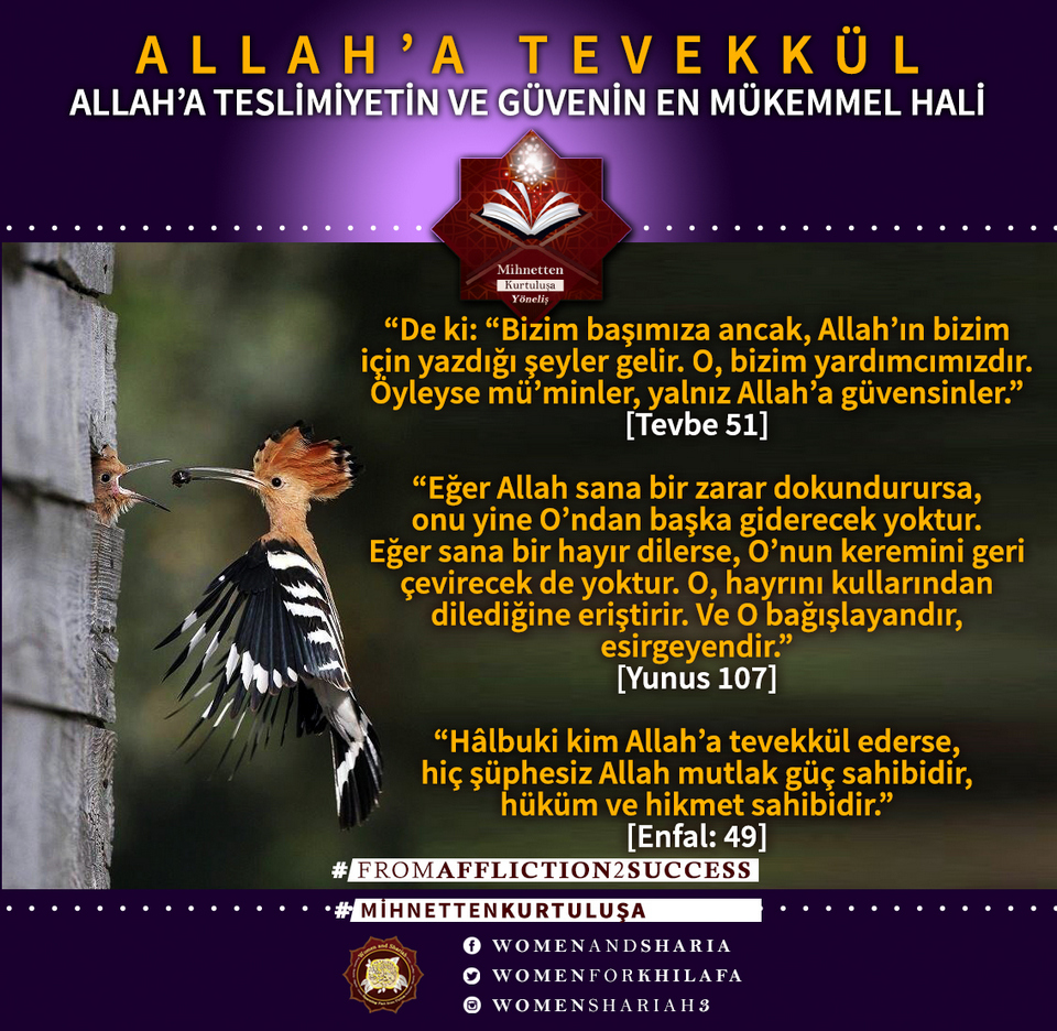 Click to enlarge image TAWAKKUL_TURK1.jpg