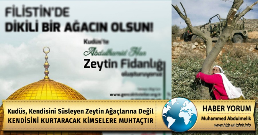Kudüs, Kendisini Süsleyen Zeytin Ağaçlarına Değil Kendisini Kurtaracak Kimselere Muhtaçtır