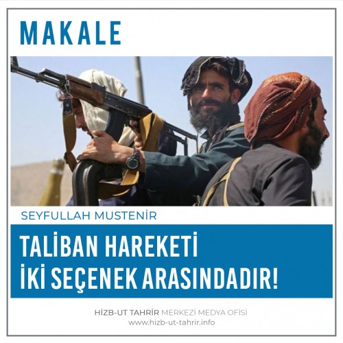 Taliban Hareketi İki Seçenek Arasındadır!