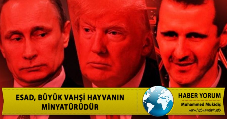 ESAD, BÜYÜK VAHŞİ HAYVANIN MİNYATÜRÜDÜR
